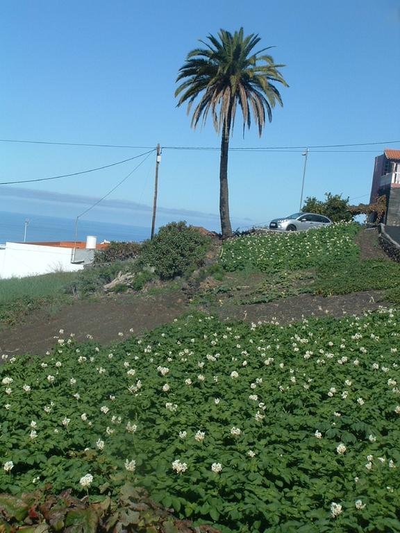 Casa Los Vinedos A Fuencaliente de la Palma Exterior foto